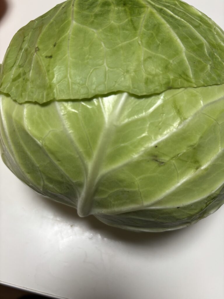 コストコで購入した936gのキャベツ