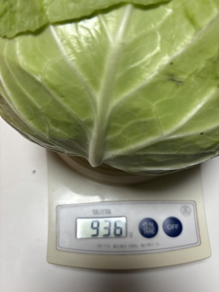 コストコキャベツ936gの重さを量った写真