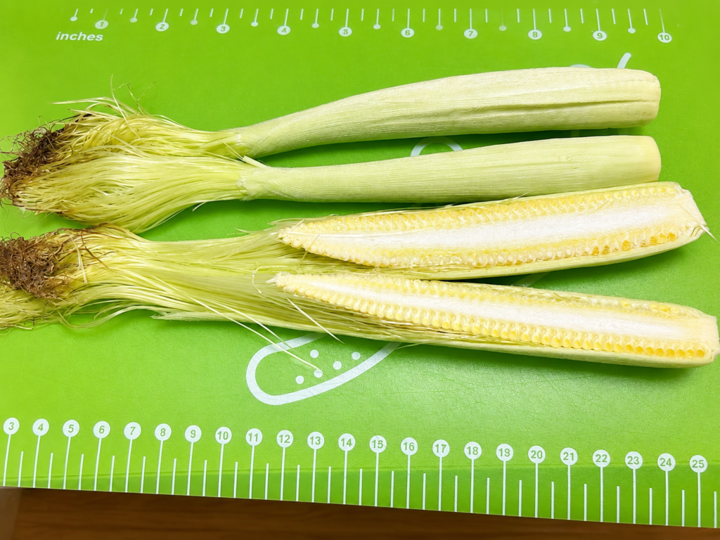 丸ごとと半割と開きにした生ヤングコーンの比較