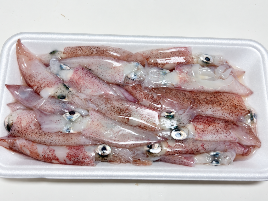 購入した胴体約10cmの小ヤリイカ