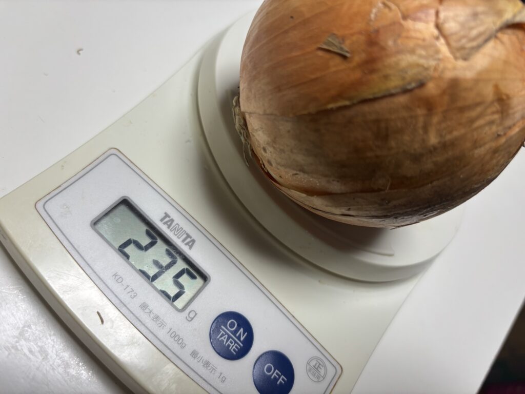 コストコ北海道産玉ねぎ1玉の重さを量った写真